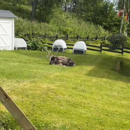 公寓 Fin Sentralt I Tromso, Gratis Parkering