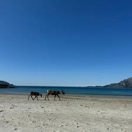 Fin Sentralt I Tromso, Gratis Parkering 公寓 特罗姆瑟