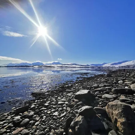 Fin Sentralt I Tromso, Gratis Parkering 公寓